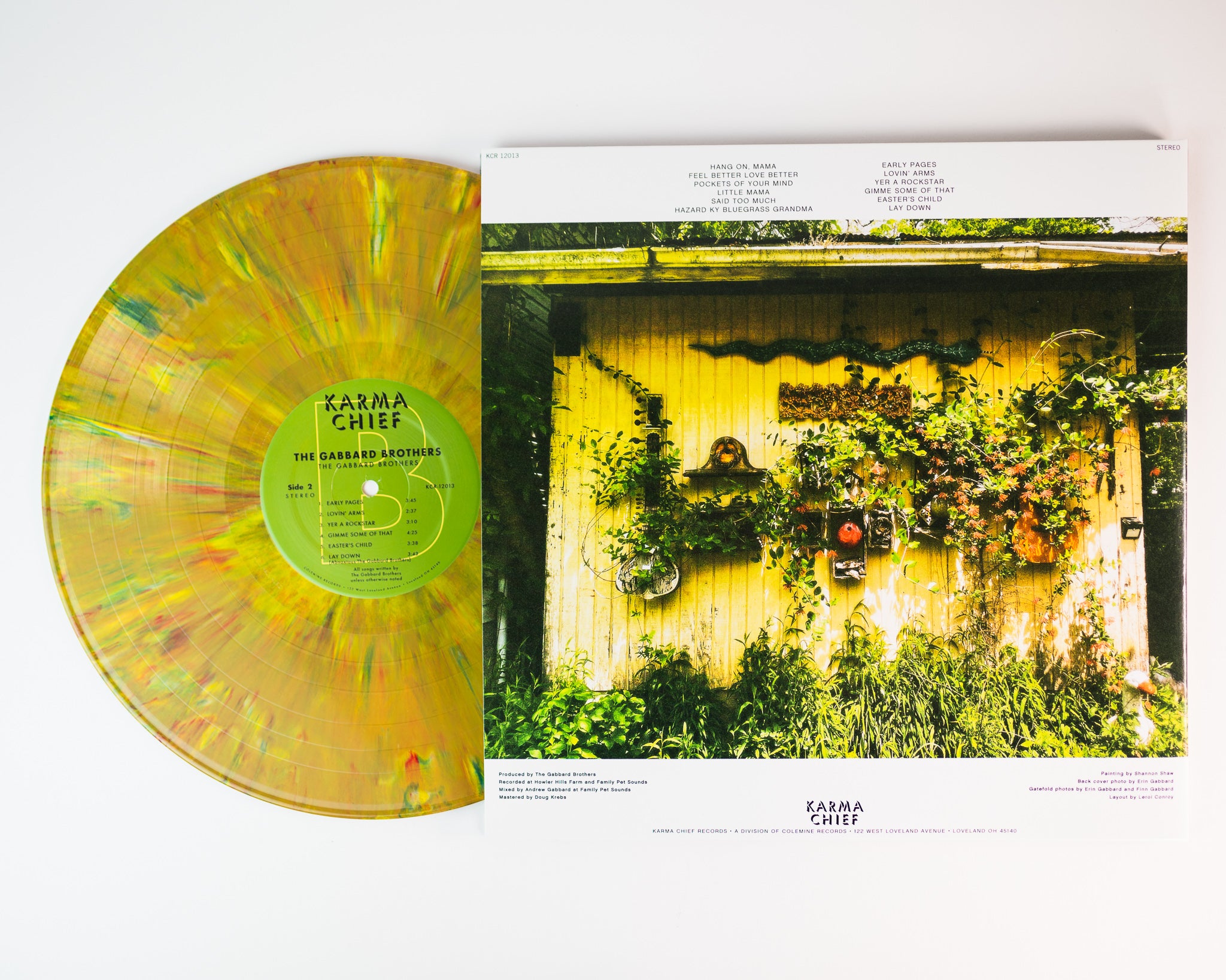 The Gabbard Brothers The Gabbard Brothers LP vinyl earth haze