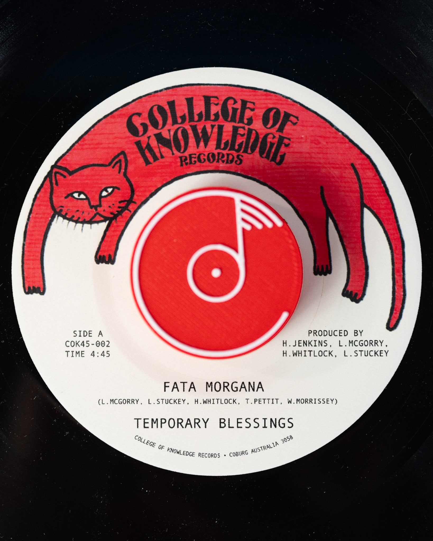 Colemine Temporary Blessings Fata Morgana vinylsingel svart 7"