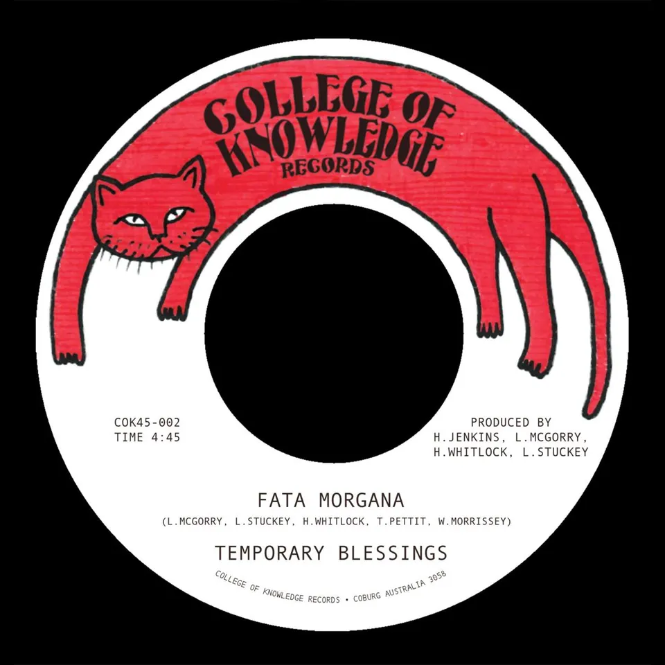Colemine Temporary Blessings Fata Morgana vinylsingel svart 7"