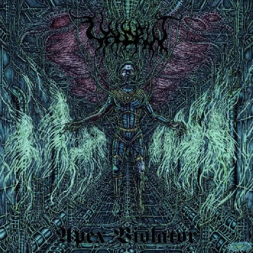 Valdrin Apex Violator LP grønn vinyl