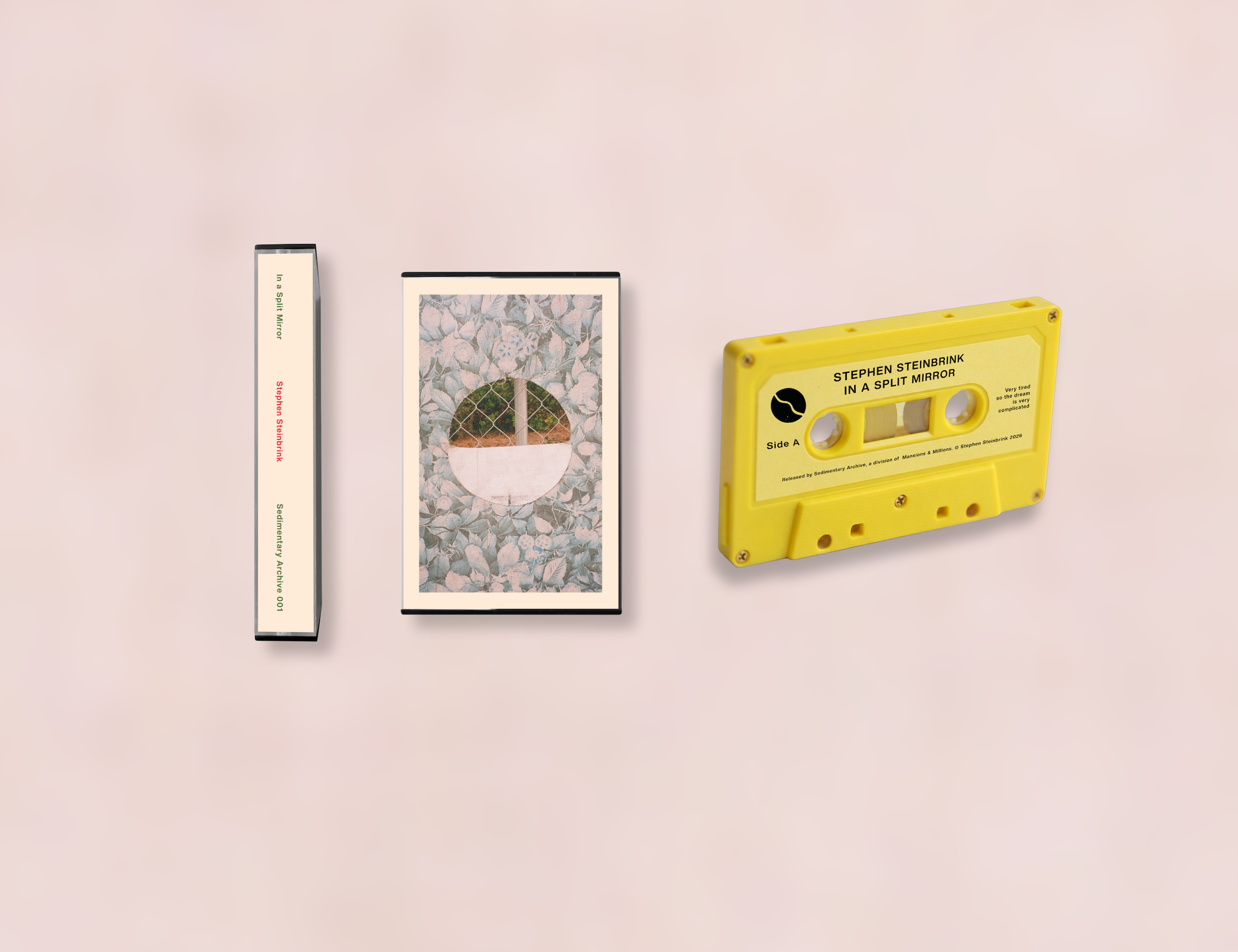 Mansions and Millions Stephen Steinbrink In a Split Mirror kassett