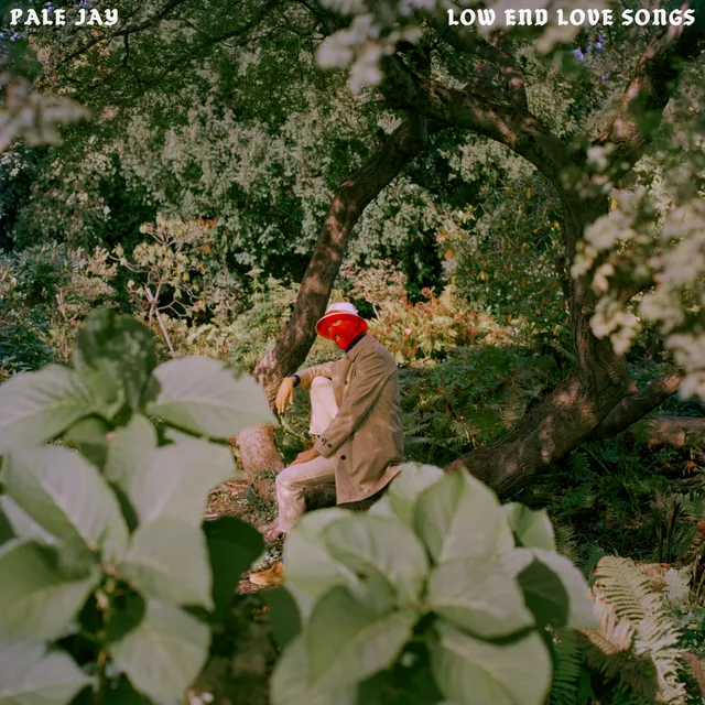 Pale Jay Low End Love Songs LP storm cloud vinyl soul