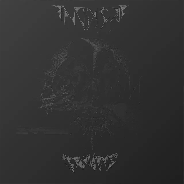 Endlyset Beholders LP svart vinyl