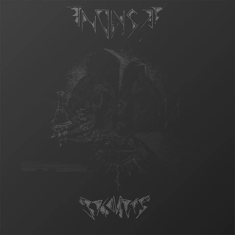 Endlyset Beholders LP svart vinyl