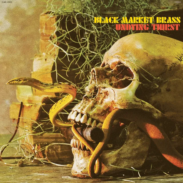 Black Market Brass Undying Thirst LP vinyl svart afrobeat