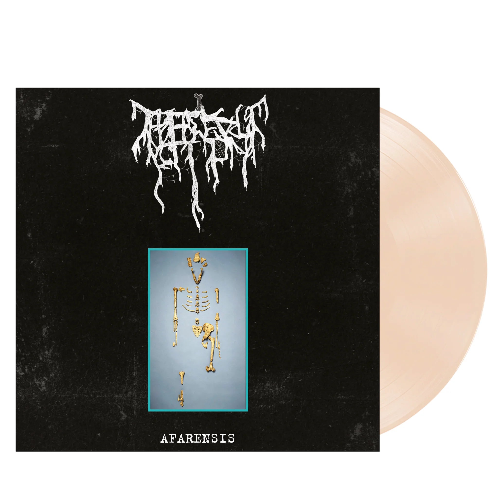 Bone Abduction Afarensis MLP bone vinyl – 300 eks