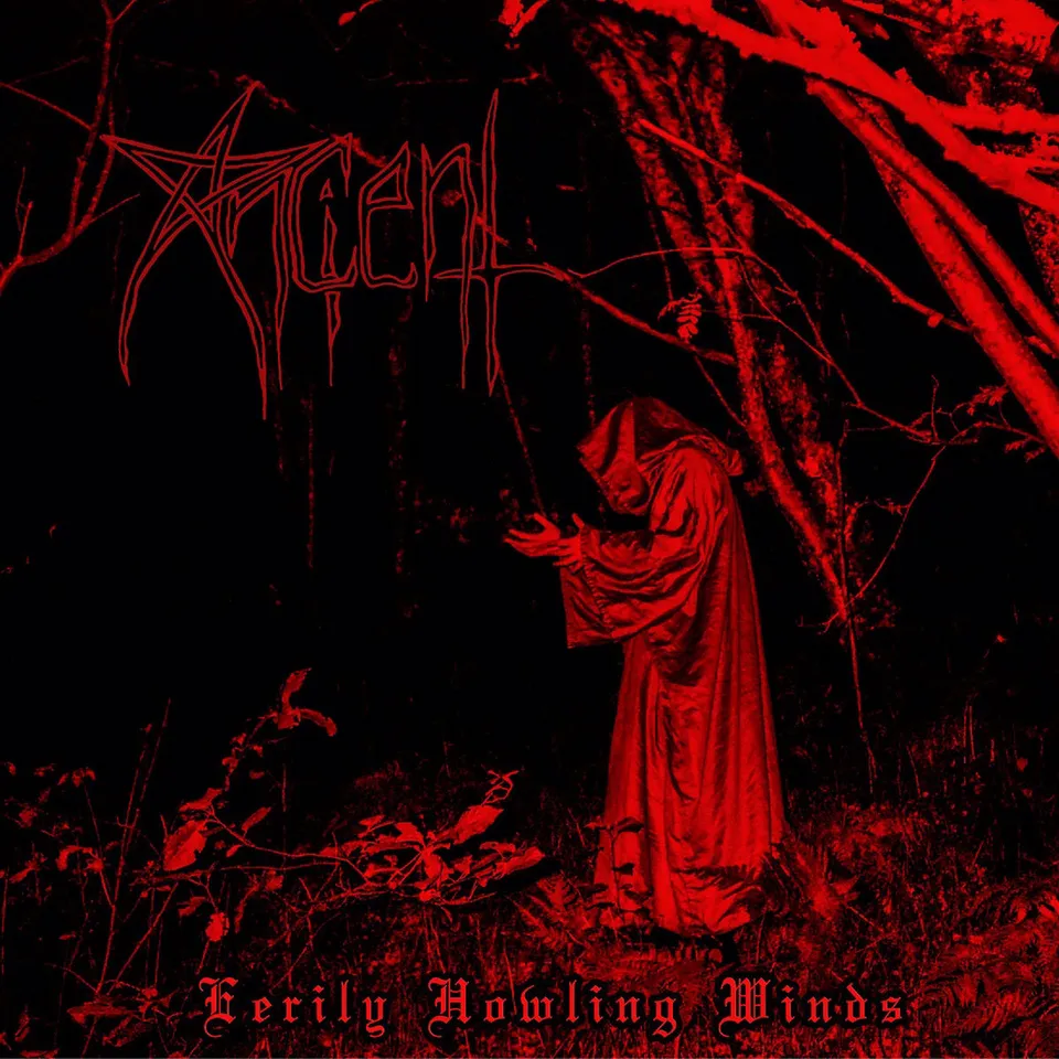 Ancient Eerily Howling Winds CD digipak demo