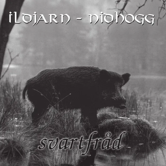 Ildjarn-Nidhogg Svartfråd LP etching 180g