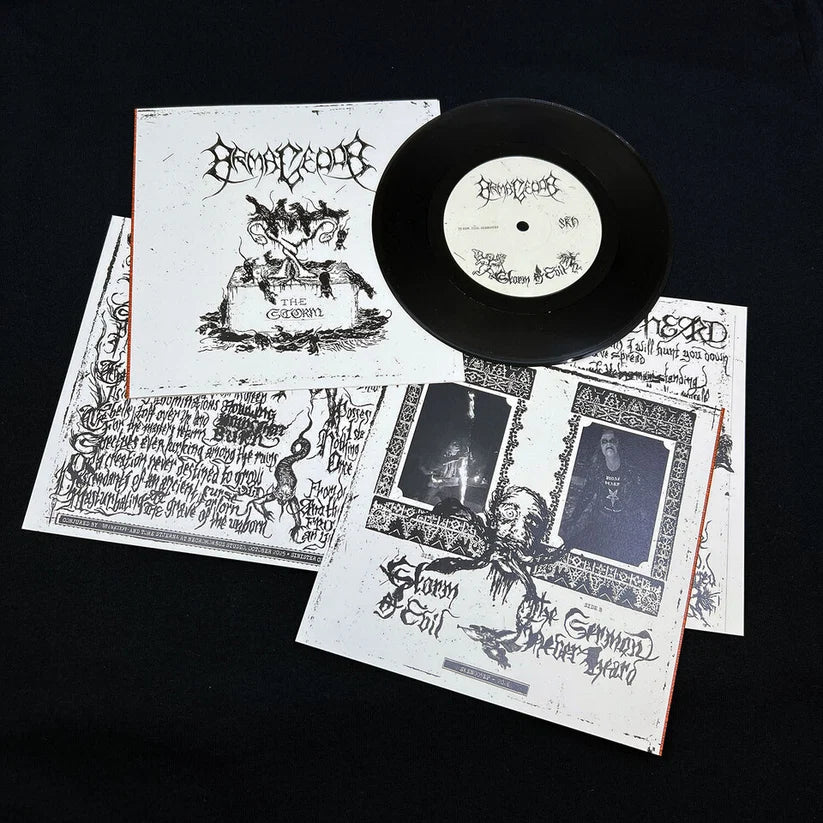 Armagedda The Storm 7" EP singel