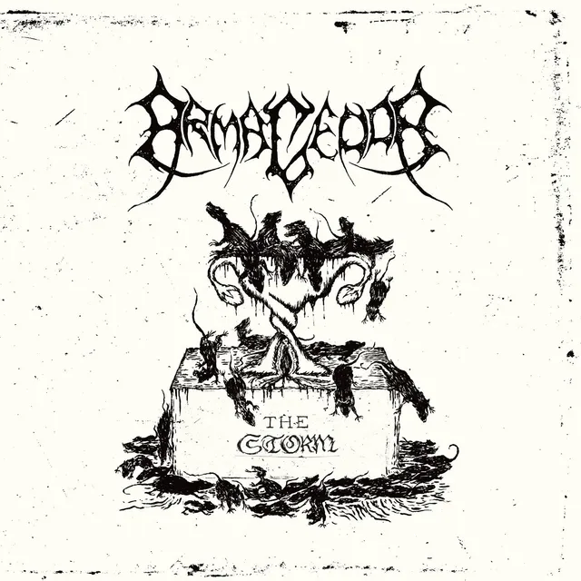 Armagedda The Storm 7" EP singel