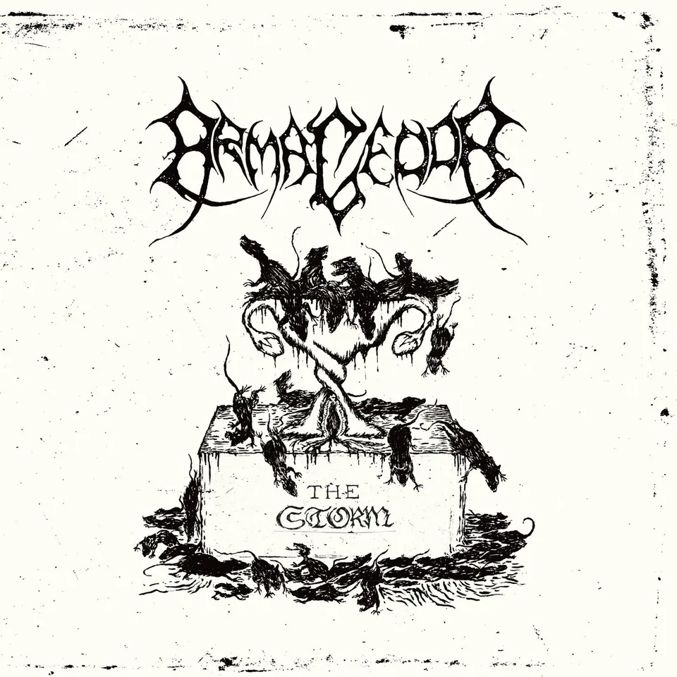 Armagedda The Storm 7" EP singel