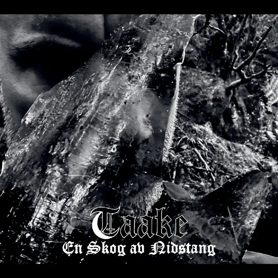 Taake En Skog Av Nidstang LP svart vinyl gatefold