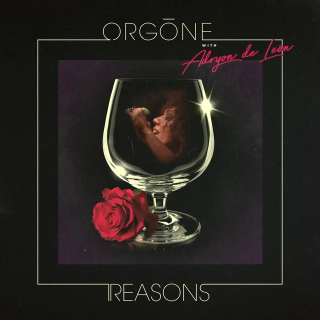 Orgone Reasons LP vinyl soul funk
