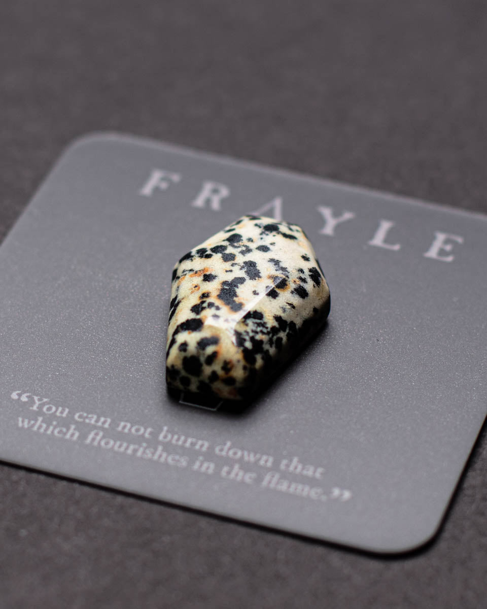 Frayle Dalmatian Jasper Coffin krystall kiste