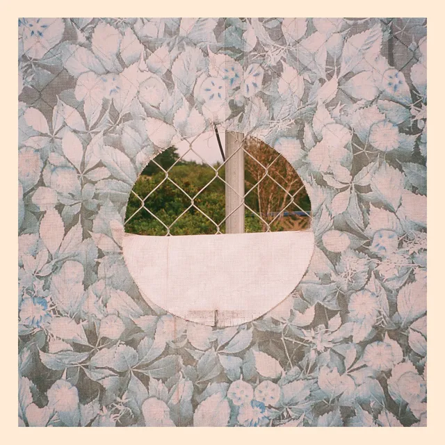 Mansions and Millions Stephen Steinbrink In a Split Mirror kassett