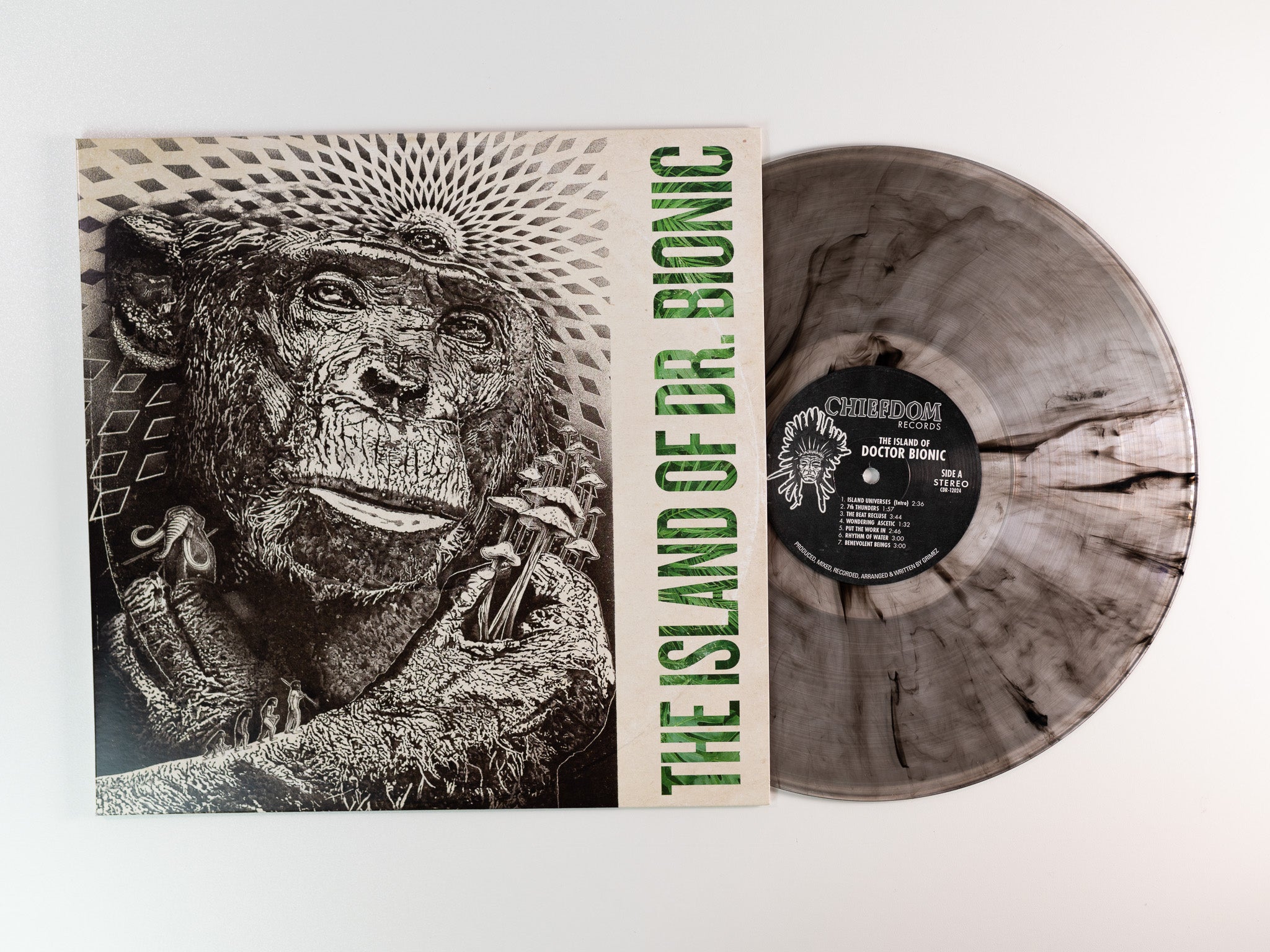 Doctor Bionic Island Of Doctor Bionic LP svart vinyl fusion