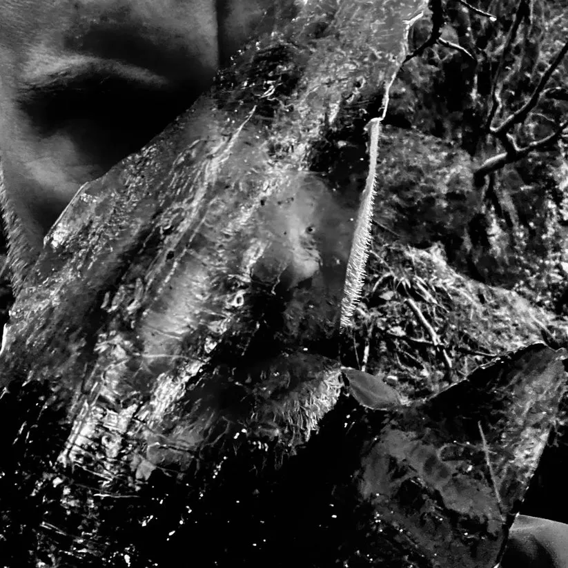 Taake En Skog Av Nidstang CD jewelcase 2026