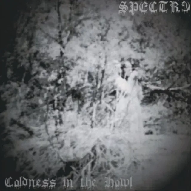 Spectr3 Coldness In The Howl LP nummerert black metal