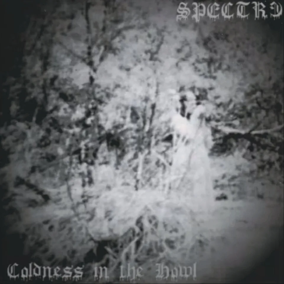 Spectr3 Coldness In The Howl LP nummerert black metal
