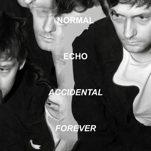 Mansions and Millions Normal Echo Accidental Forever vinyl