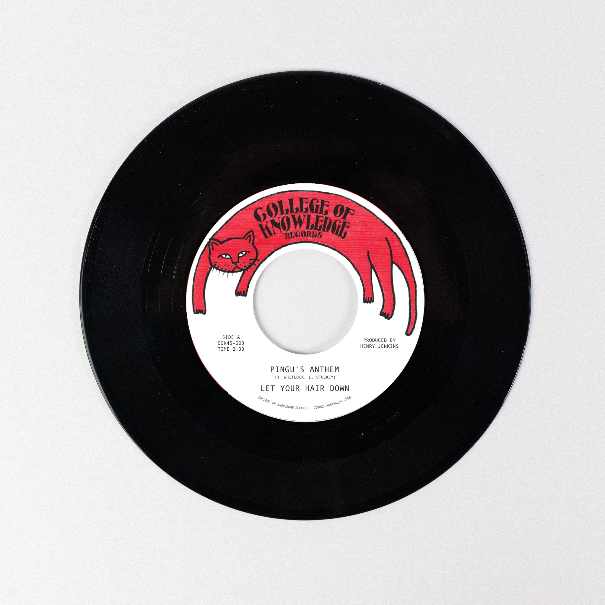 Let Your Hair Down Pingu's Anthem 7" svart vinyl
