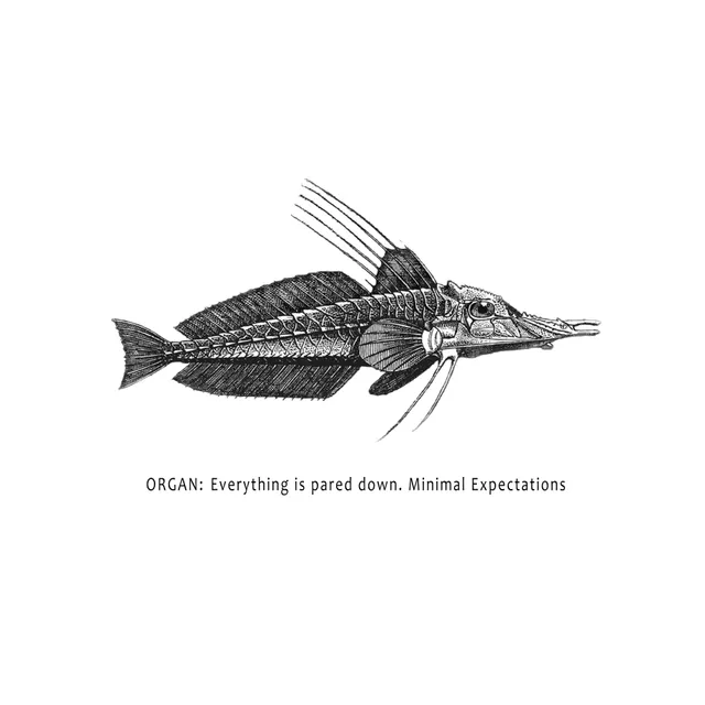 Organ Everything Is Pared Down LP svart prog