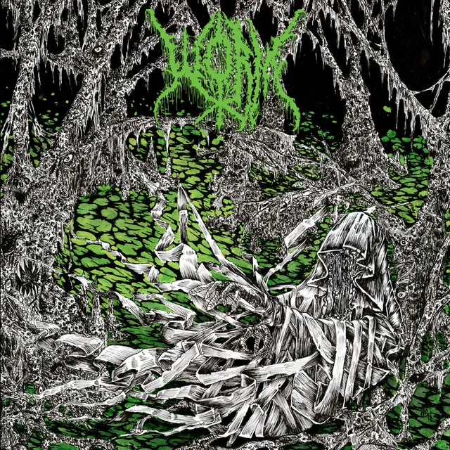 Worm Gloomlord LP vinyl poster doom