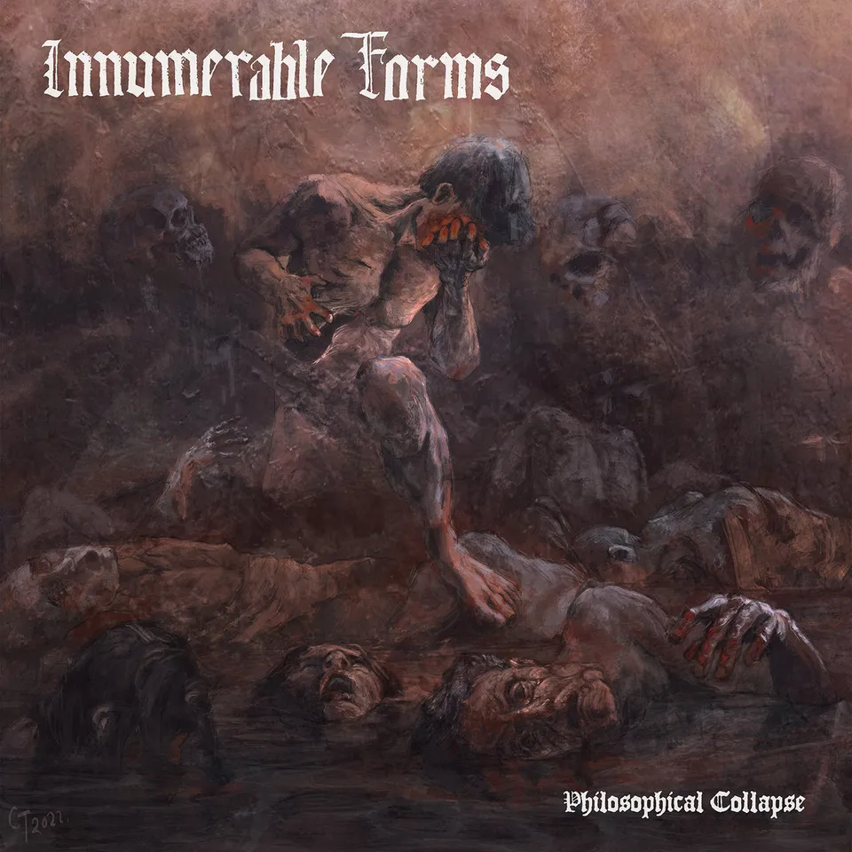 Innumerable Forms Philosophical Collapse LP svart vinyl