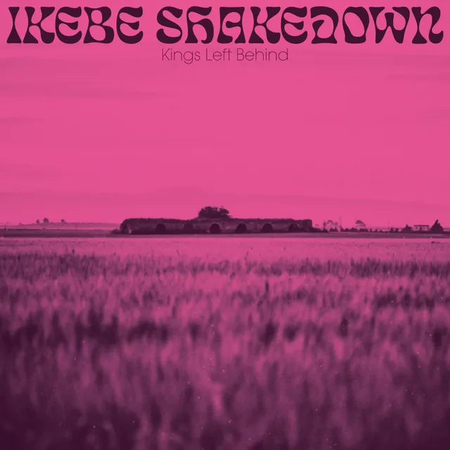 Colemine Ikebe Shakedown Kings Left Behind LP rosa vinyl