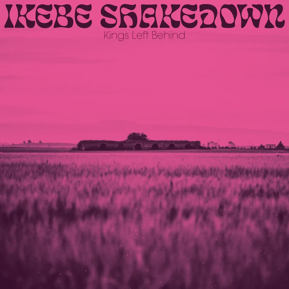 Colemine Ikebe Shakedown Kings Left Behind LP rosa vinyl