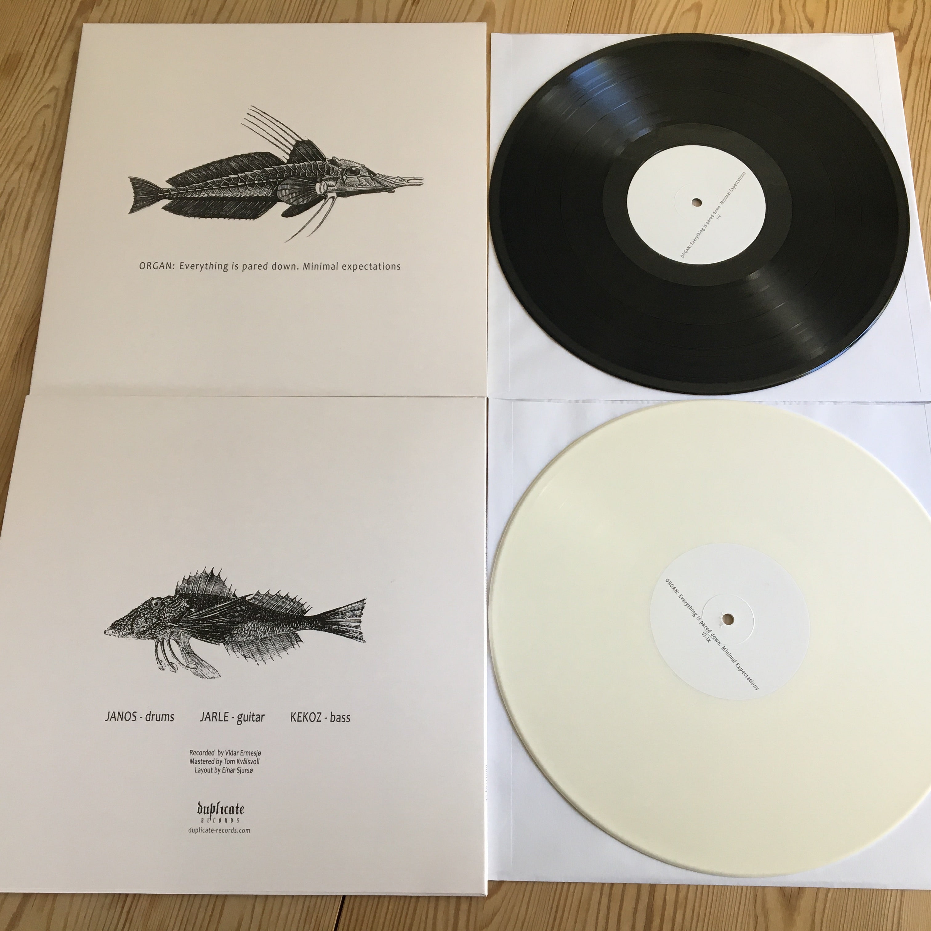 Organ Everything Is Pared Down LP hvit vinyl prog