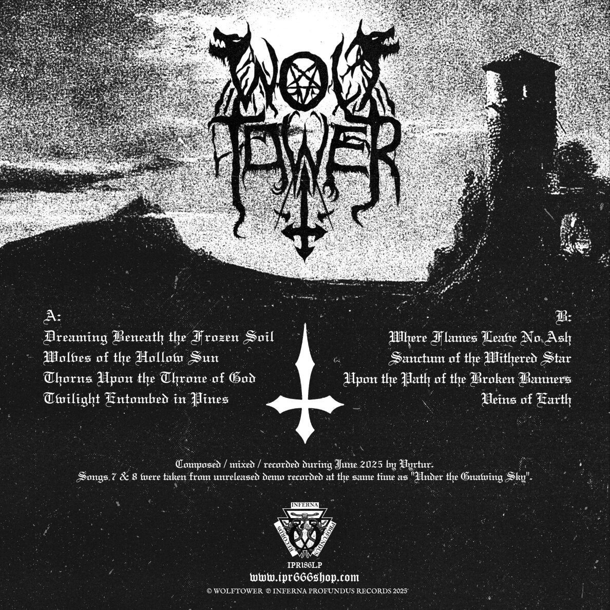Wolftower Under the Gnawing Sky LP svart vinyl