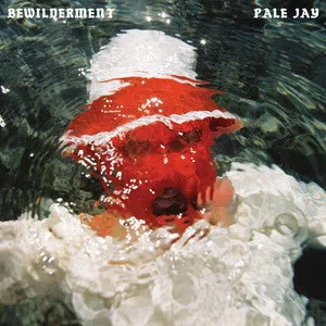 Pale Jay Bewilderment vinyl LP seafoam soul