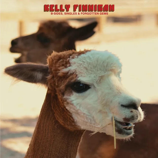 Kelly Finnigan B-Sides Singles LP vinyl svart vinyl soul