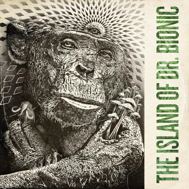 Doctor Bionic Island Of Doctor Bionic LP svart vinyl fusion