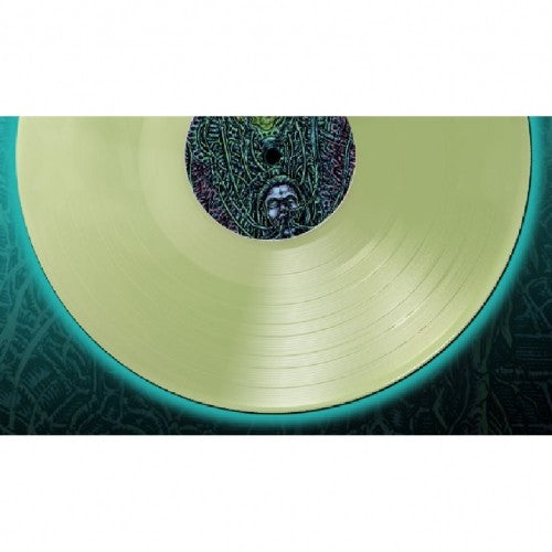 Valdrin Apex Violator LP grønn vinyl