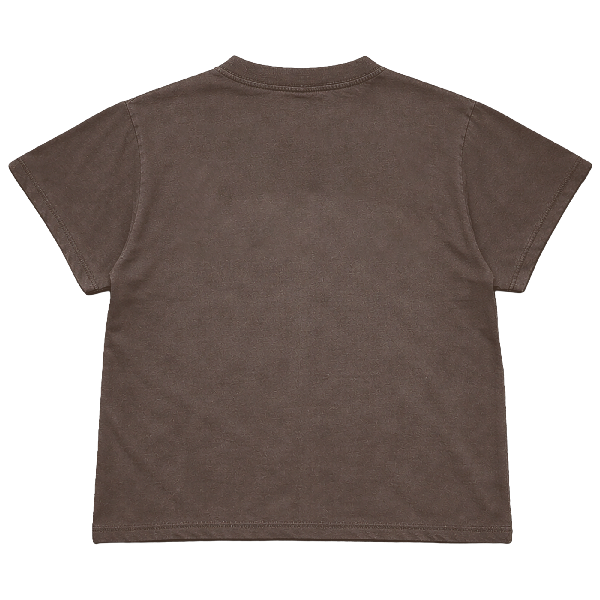 Earth, Wind & Fire Phoenix t-skjorte falmet brun unisex