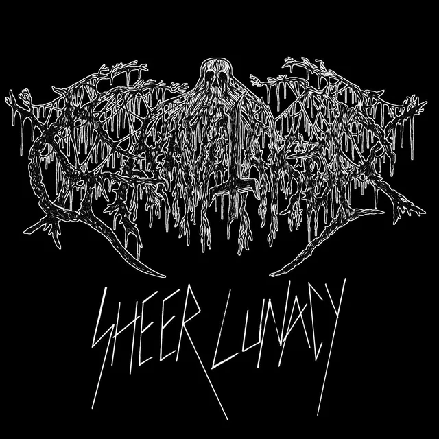 Gravetaker Sheer Lunacy LP svart vinyl 2025