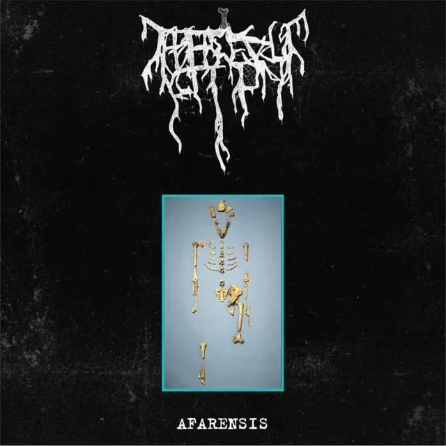 Bone Abduction Afarensis MLP bone vinyl – 300 eks