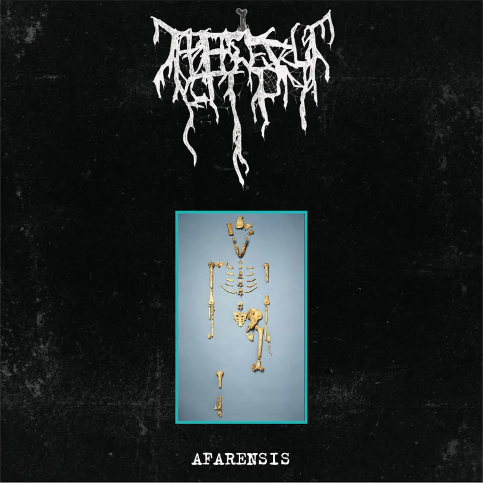 Bone Abduction Afarensis MLP bone vinyl – 300 eks